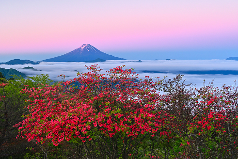 絶景の朝の写真