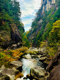 雄大な自然の恵みの写真