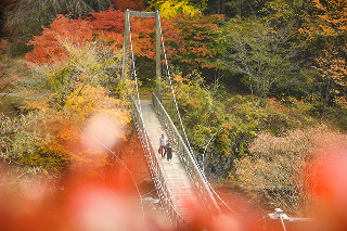 小春日和の写真