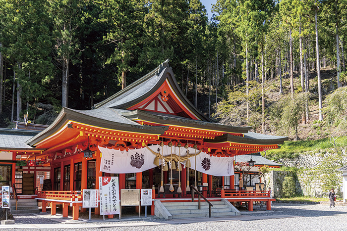 金櫻神社