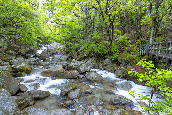 日川渓谷竜門峡