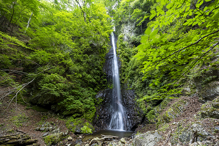 白糸の滝、雄滝