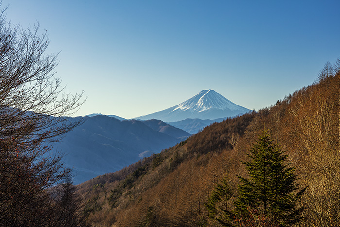 柳沢峠